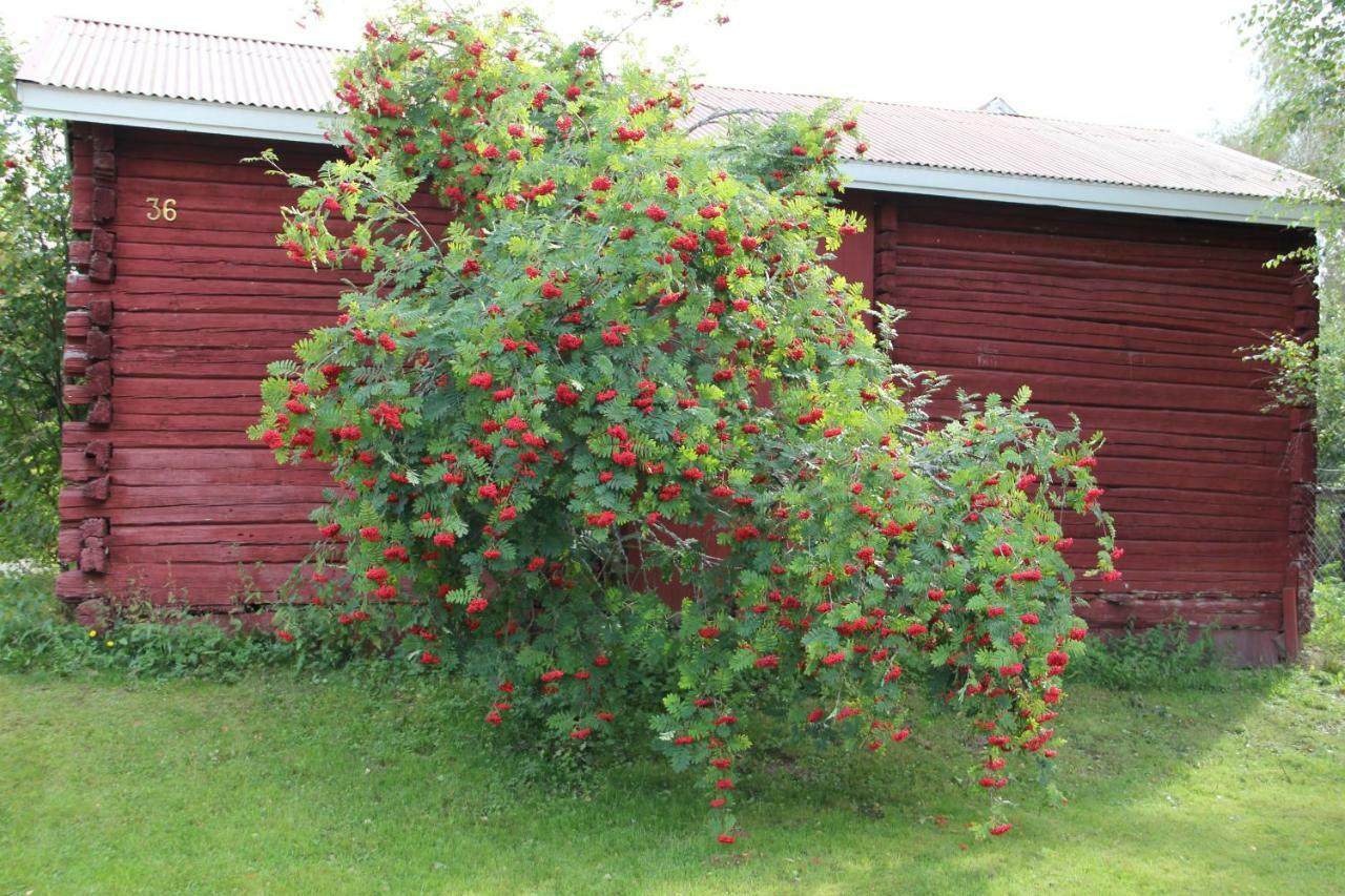 Apartmán Idyllinen Kaksio Kankaanpää Exteriér fotografie